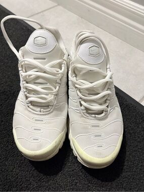 Nike White Mesh Running Sneakers